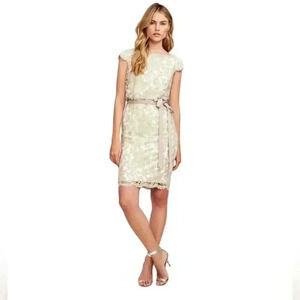 Tadashi Shoji Greta Dress NEW